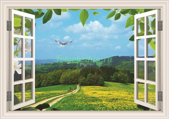 Фотообои Окно с видом на поле и деревья