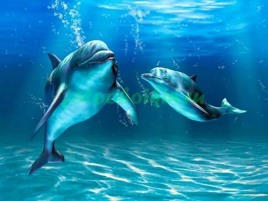 Фотообои Дельфины под водой