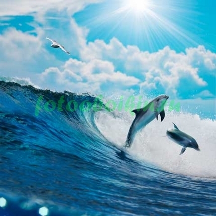 Фотообои Дельфины прыгают над водой