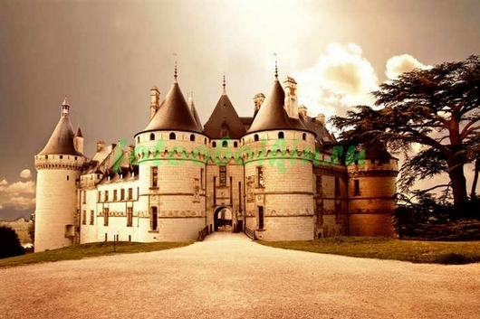 Фотообои Замок Шомон-сюр-Луар