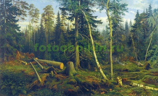 Модульная картина rep13743 Рубка леса