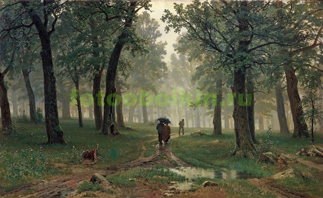 Модульная картина rep13755 Дождь в дубовом лесу