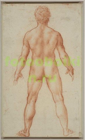Модульная картина rep15084 Рисунок стоящего обнаженного мужчины