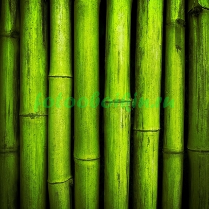 Модульная картина Бамбуковые стволы