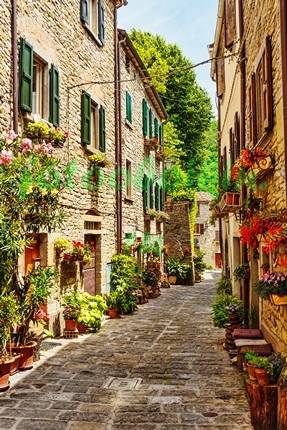 Модульная картина Цветочная улица в Италии