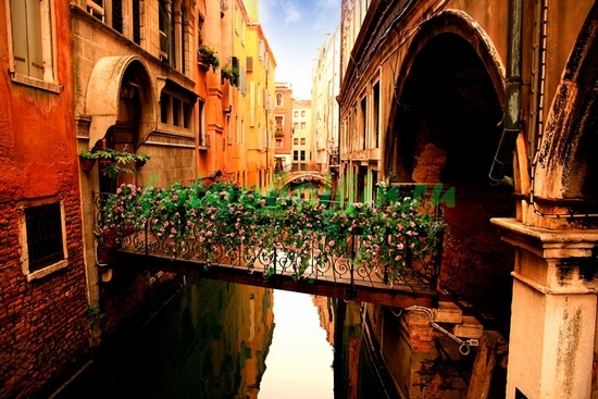 Модульная картина Мостик в Венеции