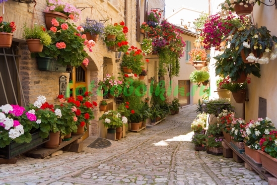 Модульная картина Красивая улочка в Италии