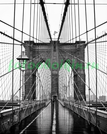 Модульная картина Дождь на Бруклинском мосту