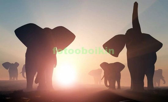 Модульная картина Стадо слонов