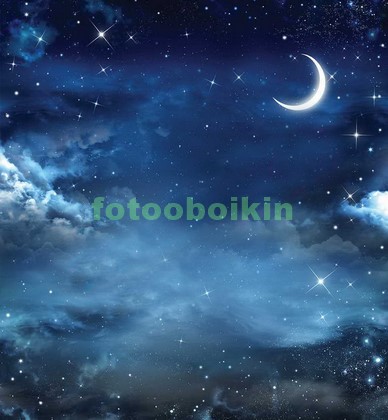 Модульная картина Звездное небо с Луной
