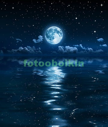 Модульная картина Луна со звездами над морем