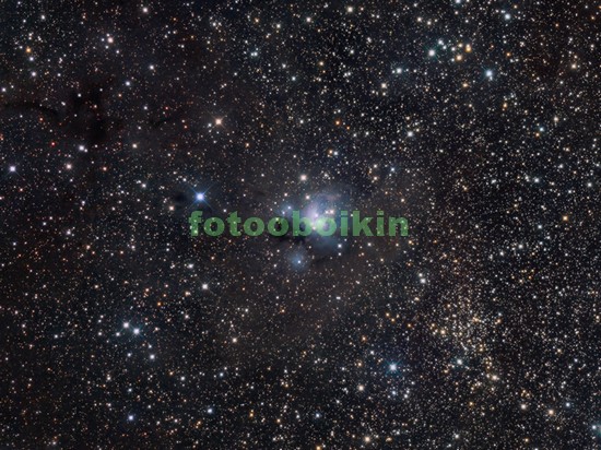 Модульная картина Звездная ночь