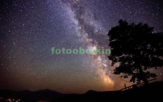 Модульная картина Звездное небо в степи
