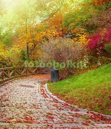 Модульная картина Дорога в листьях