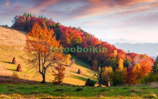 Модульная картина Осень в Австрии