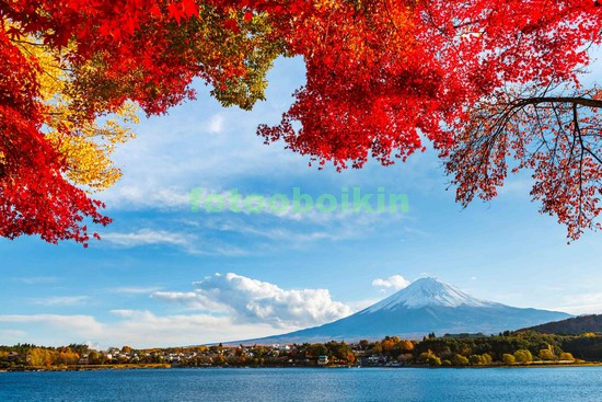 Модульная картина Осень в Японии