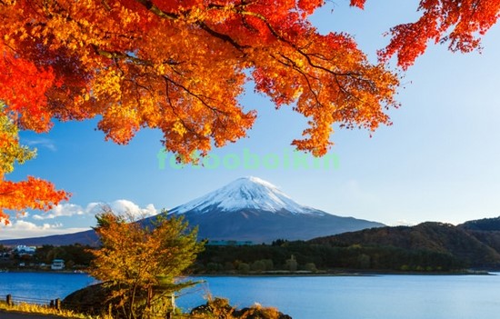 Модульная картина Япония осенью