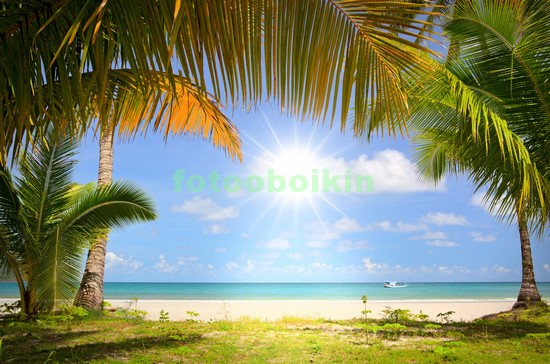 Модульная картина Солнце на пляже