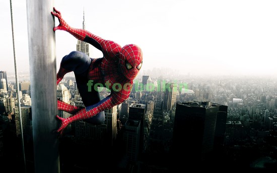 Модульная картина Человек паук на небоскребе