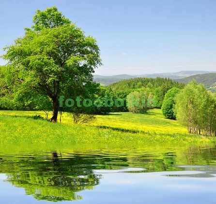 Модульная картина Дерево около озера