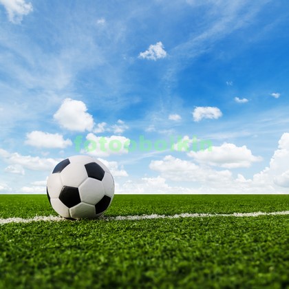 Модульная картина Мяч на футбольном поле