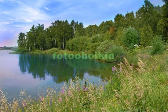 Озеро с голубой водой в лесу