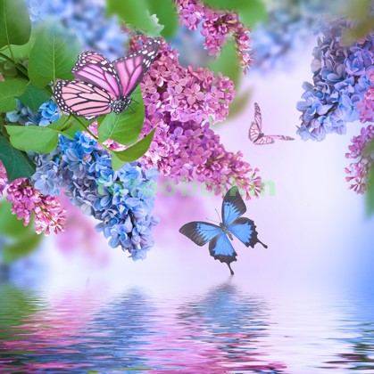 Модульная картина Сирень и бабочки