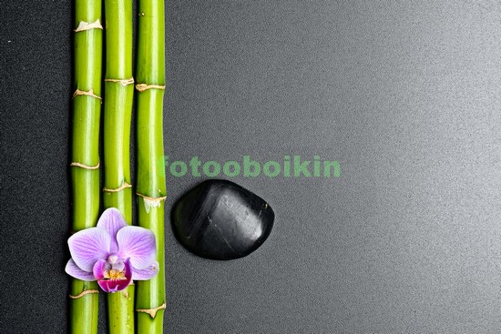 Модульная картина Бамбук и орхидея