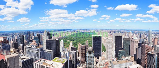 Модульная картина Центральный парк в Нью-Йорке