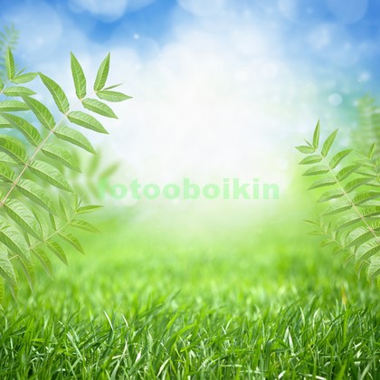 Модульная картина Трава с папоротником