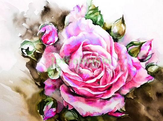 Модульная картина Розовая роза