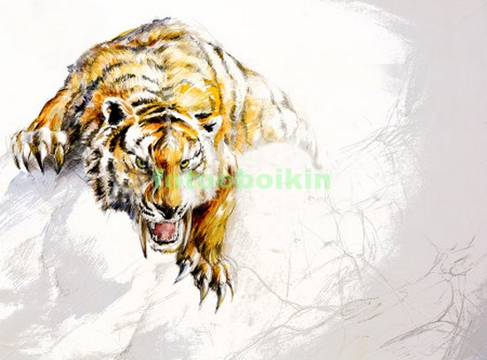 Модульная картина Саблезубый тигр