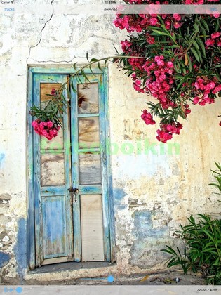 Модульная картина Двери с цветами во дворе