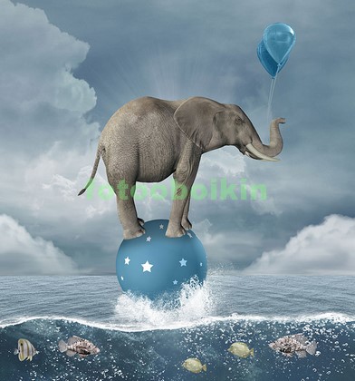 Модульная картина Слон на шаре