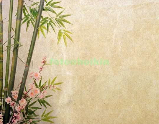 Модульная картина Бамбук с веткой сакуры