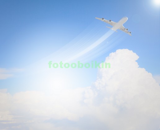 Модульная картина Самолет в чистом небе