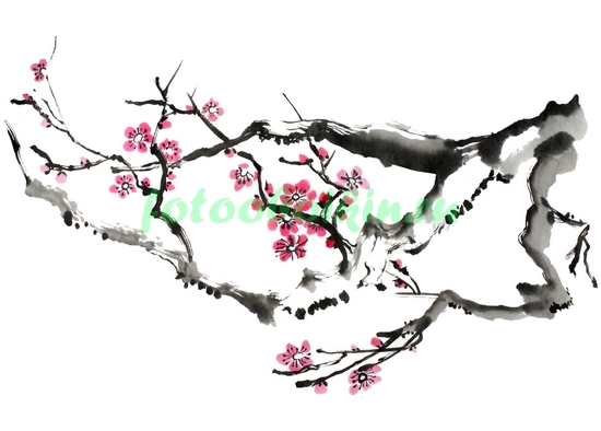 Модульная картина Ветка цветущей вишни