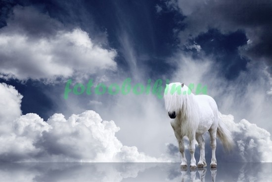 Белая лошадь с длинной гривой
