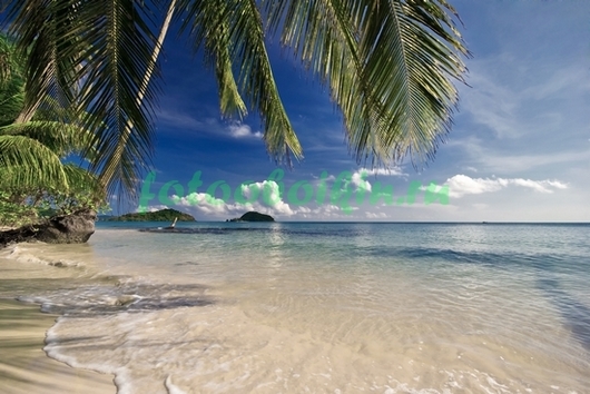 Пляж под пальмами