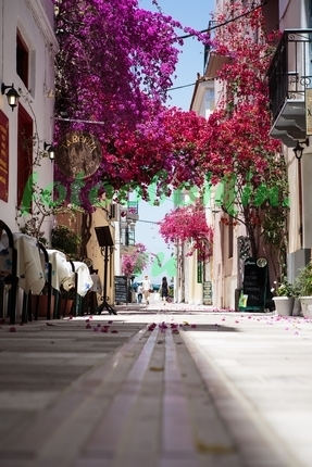 Улочка с розовыми цветами
