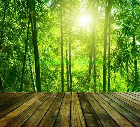Терраса с видом на бамбуковый лес