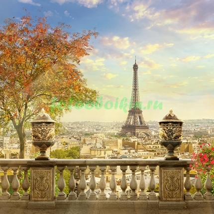 Терраса с видом на  Париж