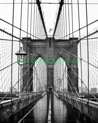 Бруклинский мост 3Д