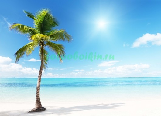 Пальма на пляже 3Д