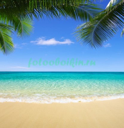 Тропический пляж 3Д