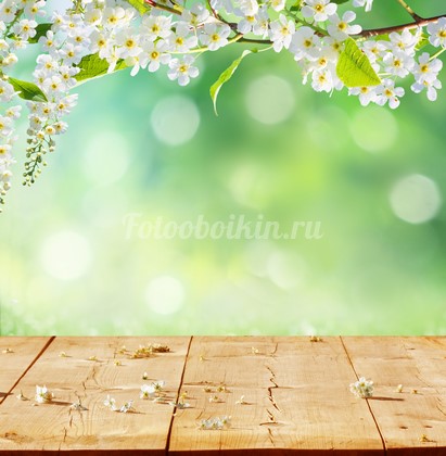 Фотообои Цветы яблони на зеленом фоне ([%SKU%]): купить по приятной цене в Тольятти