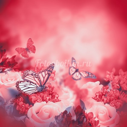 Бабочки и цветы Минск - волшебные подарки