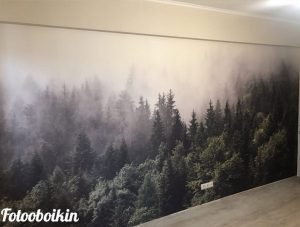 Фотообои туманный лес